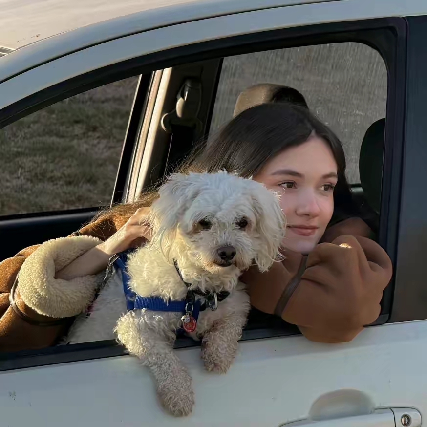 The H