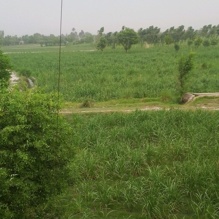Younas Khan