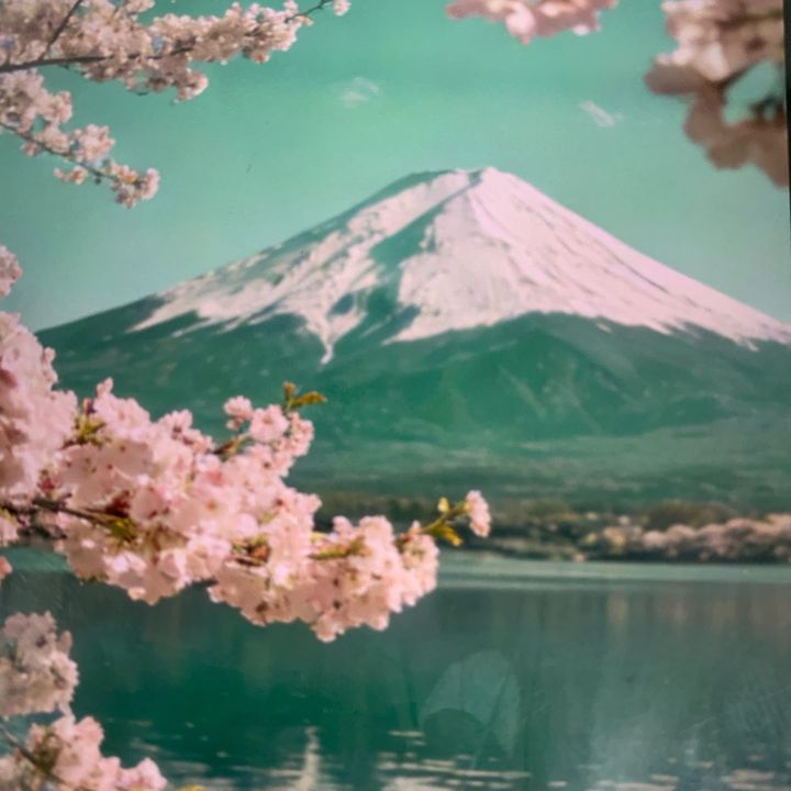 .yamamoto.hinata