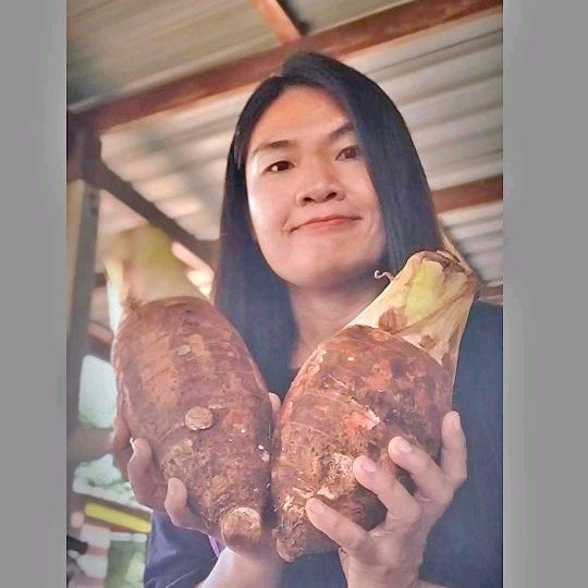เพลินดี
