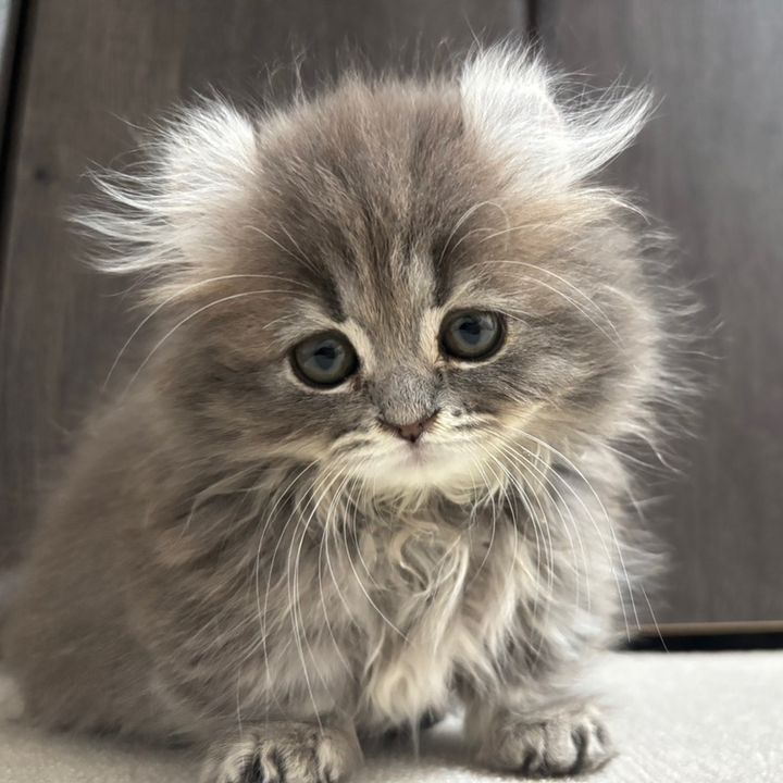 ミンちゃん