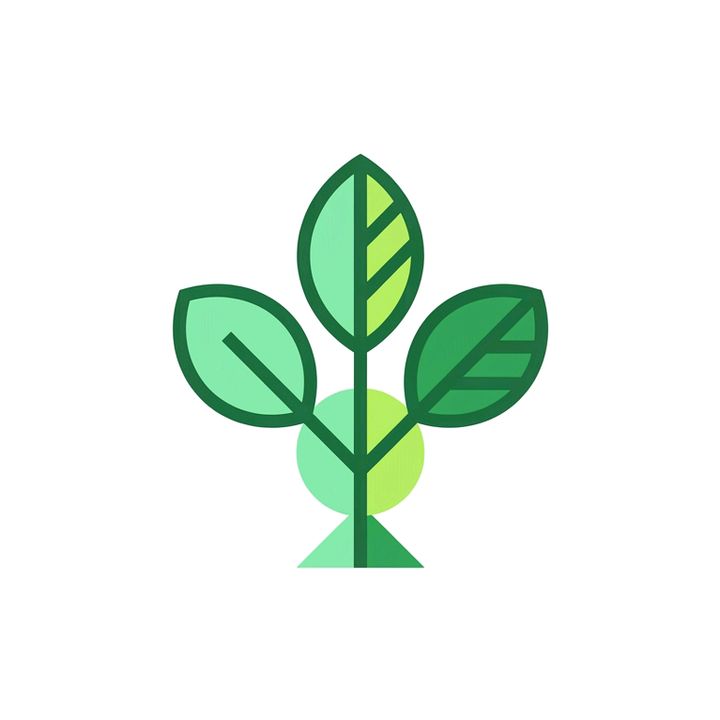 Vital Mind Health