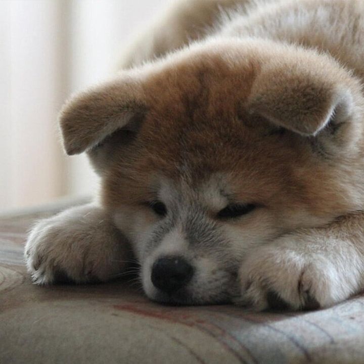 暮らし良品