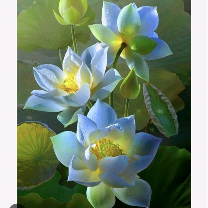 Tạp hóa thập cẩm