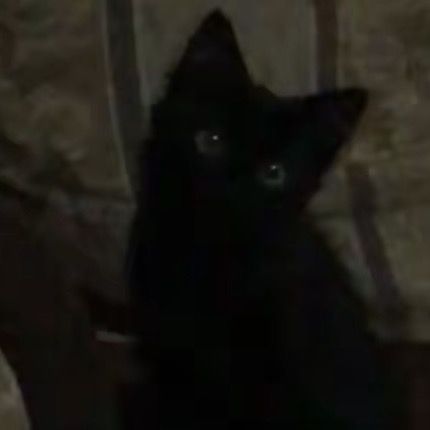 でかけつしかかたん
