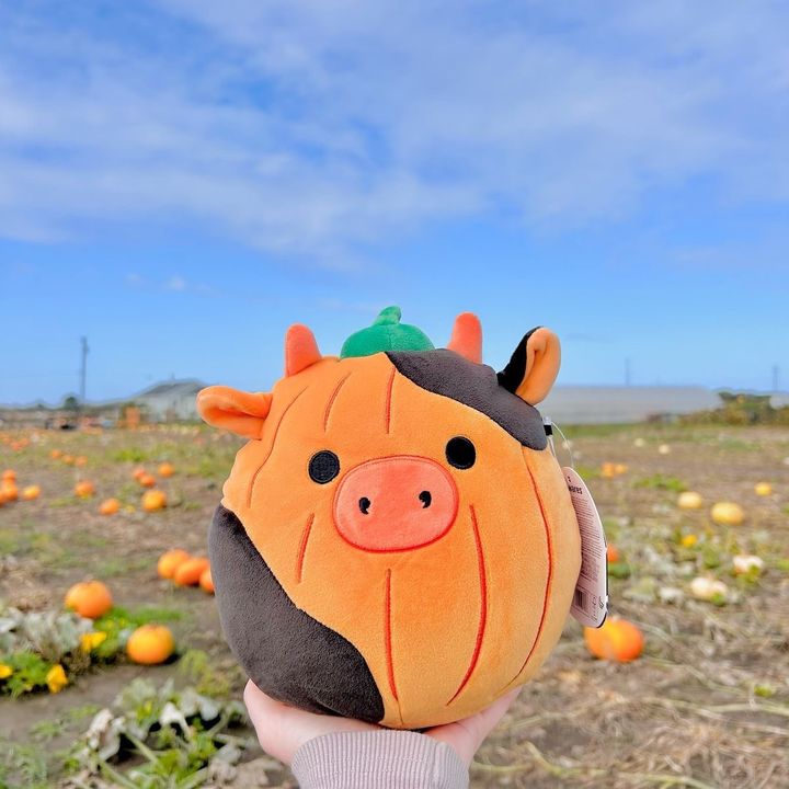 La ragazza di ottobre