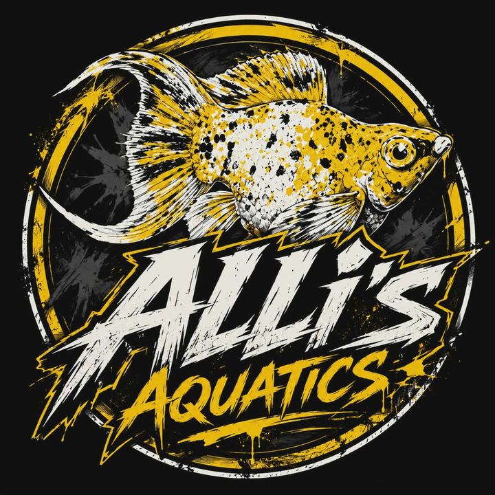 Alli’s Aquatics