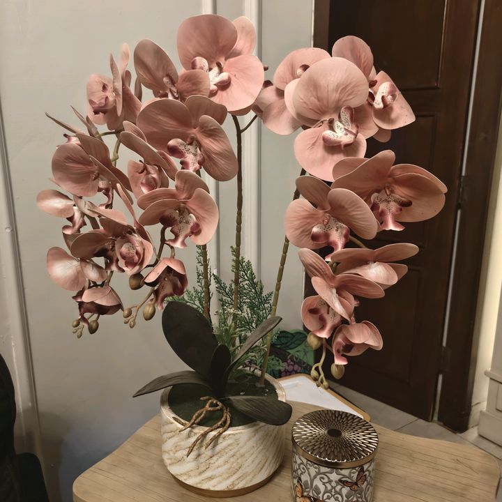 Najwa💞