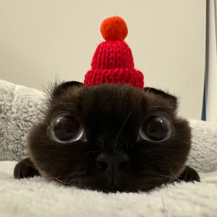 Loopy77
