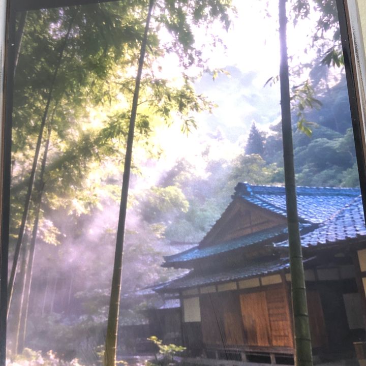 .konno.rinka