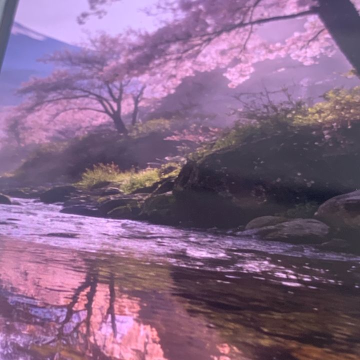 todo.mio