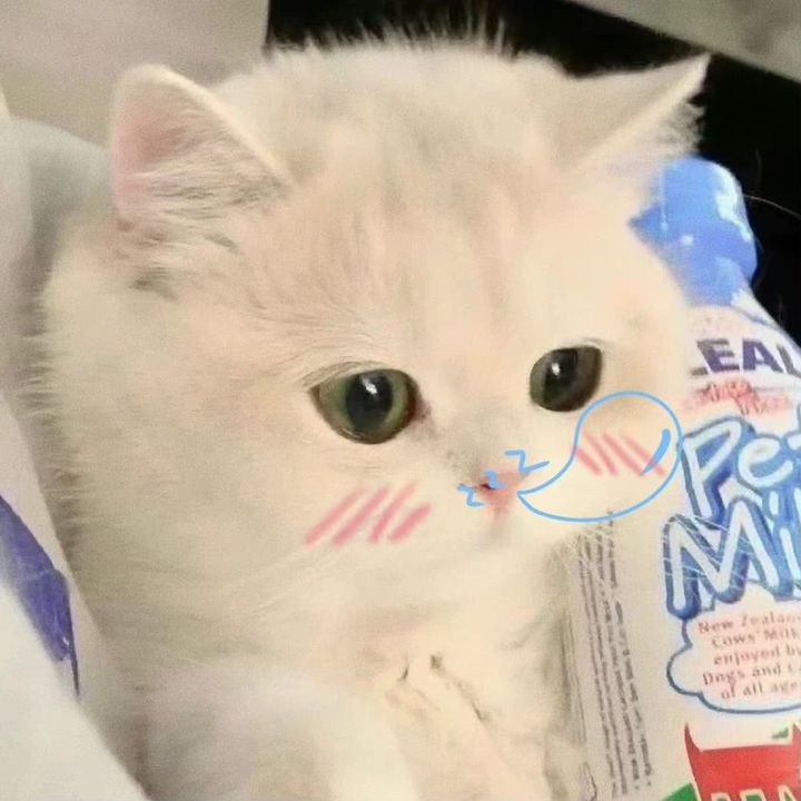 sorayan