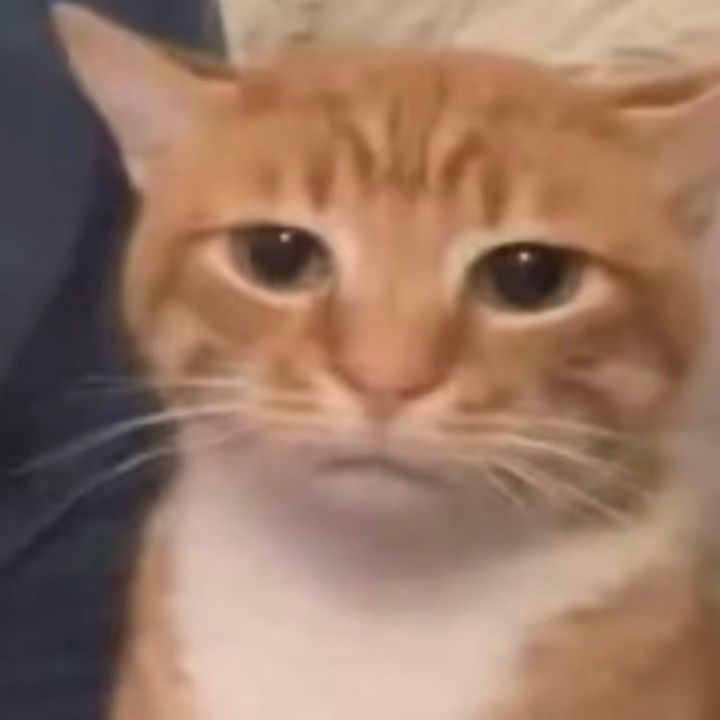 yxaxedfesag