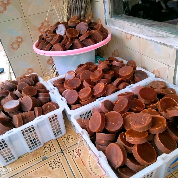 gelosir gula aren