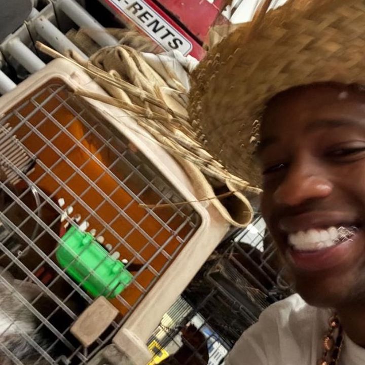 cactus_fraaa