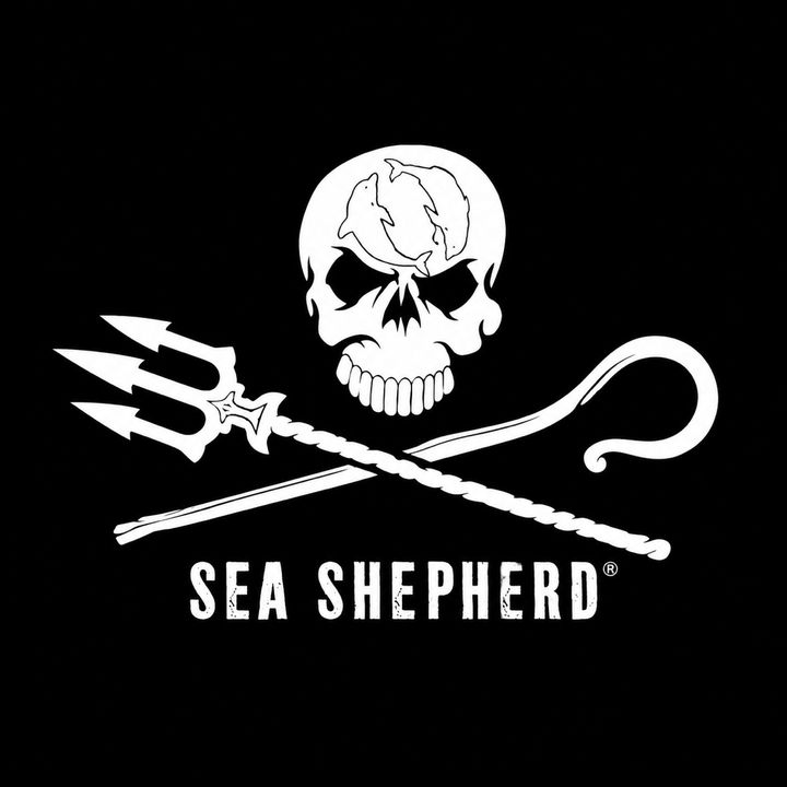 Sea 𝔇𝔦𝔞𝔪𝔬𝔫𝔡𝔰