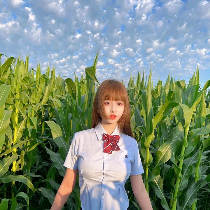 tchck72115426