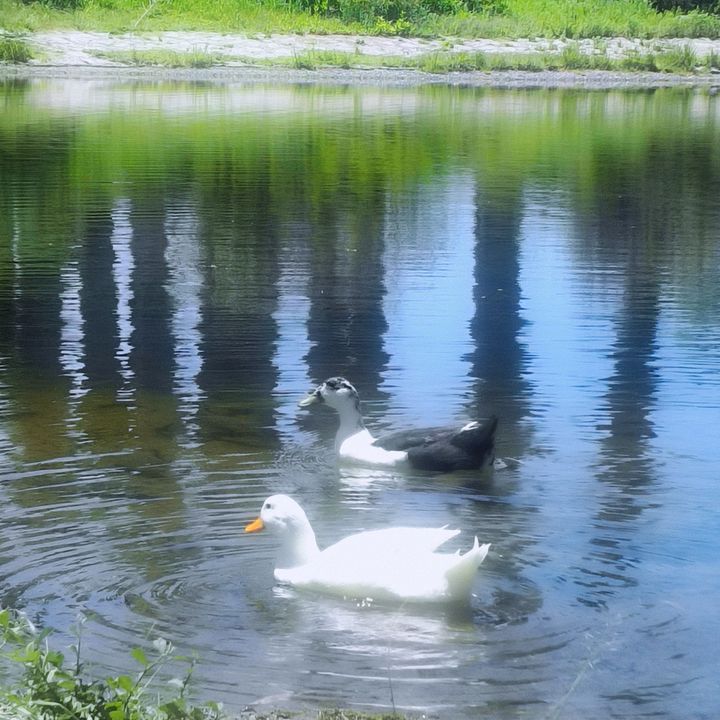 ⋆｡°✩ 𝐿𝒶𝓈𝓉𝐿𝒾𝑔𝒽𝓉 ✩°｡⋆