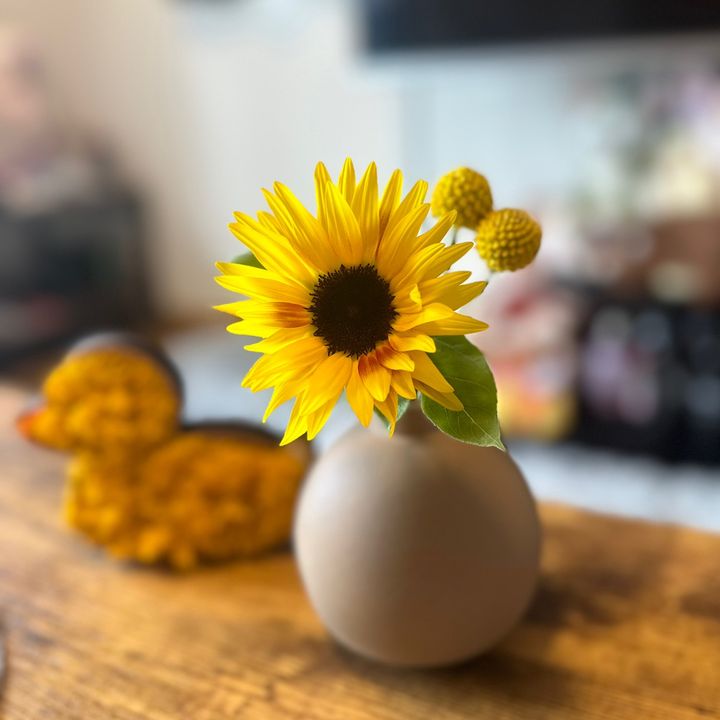 いなり🌼