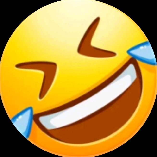 funny55 funny55