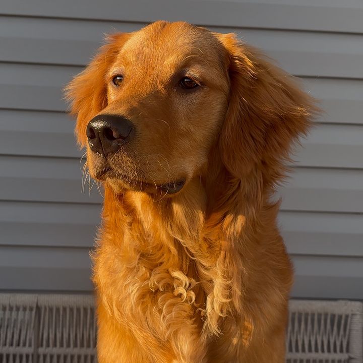 murphysgoldenhour