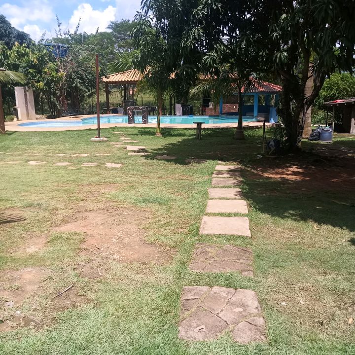 OÁSIS NA ROÇA