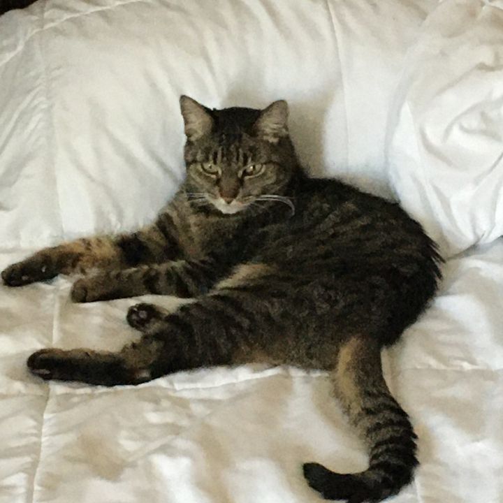 shaniesStuff