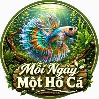 Mỗi Ngày Một Hồ Cá