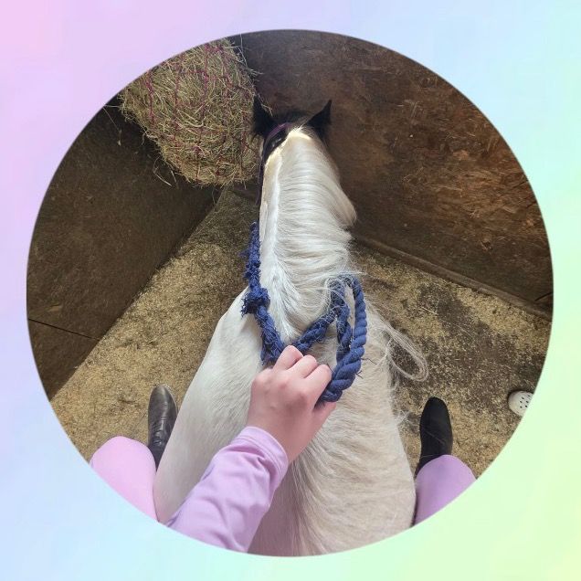 Emilyy🐎🐴💗