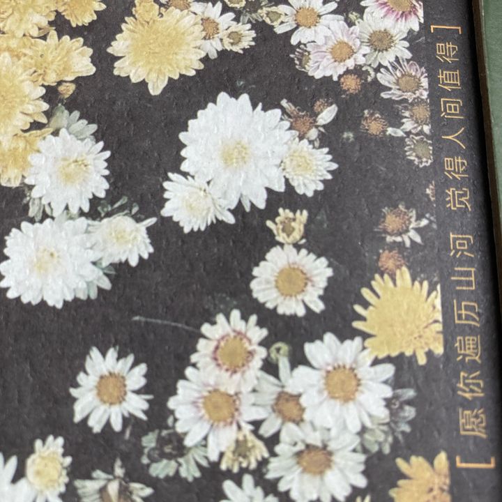 Gyrfggfg78