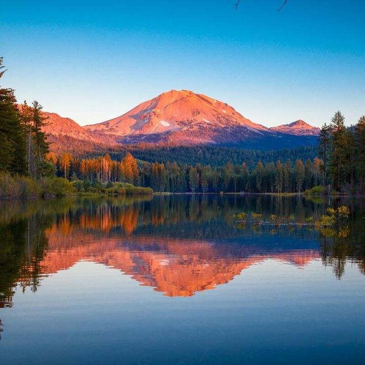 nationalparksgonewild