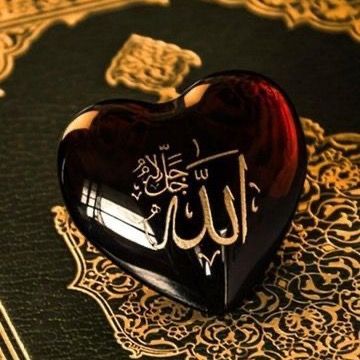 Deen Aur Duniya ❤️
