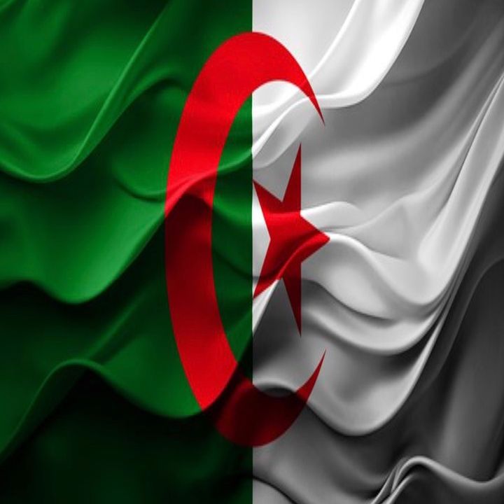 Ali🇩🇿