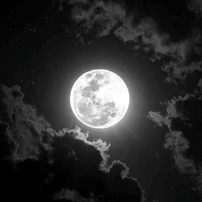 _velvetmoon_