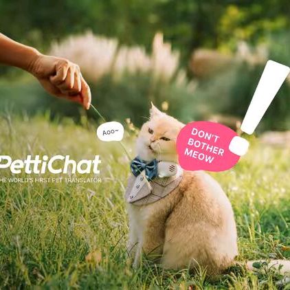 pet_chat