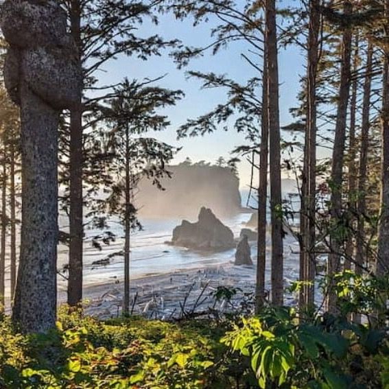 Olympic National Park 🏔️