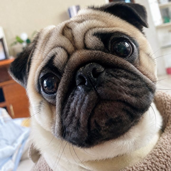 Quinlee