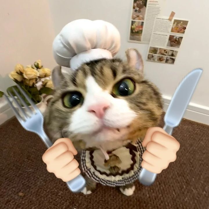 Pawsben