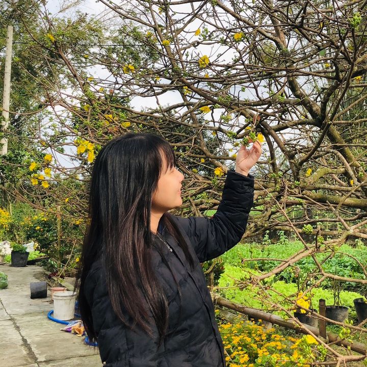 Tiệm nhà Vani