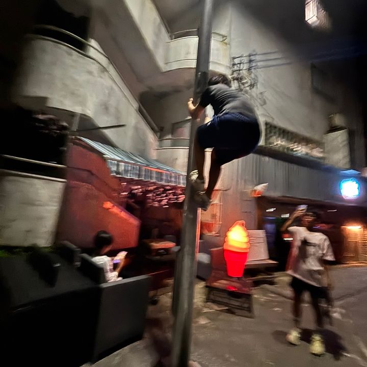 ｺｳﾀﾞｲぷーにー