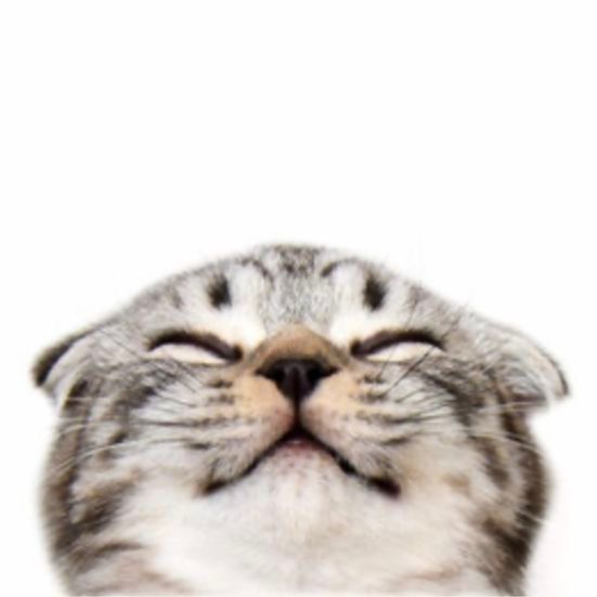 ˖ ݁♬⋆ℳ𝒶𝓎𝓋ℳ𝒾˚𝄞 °‧