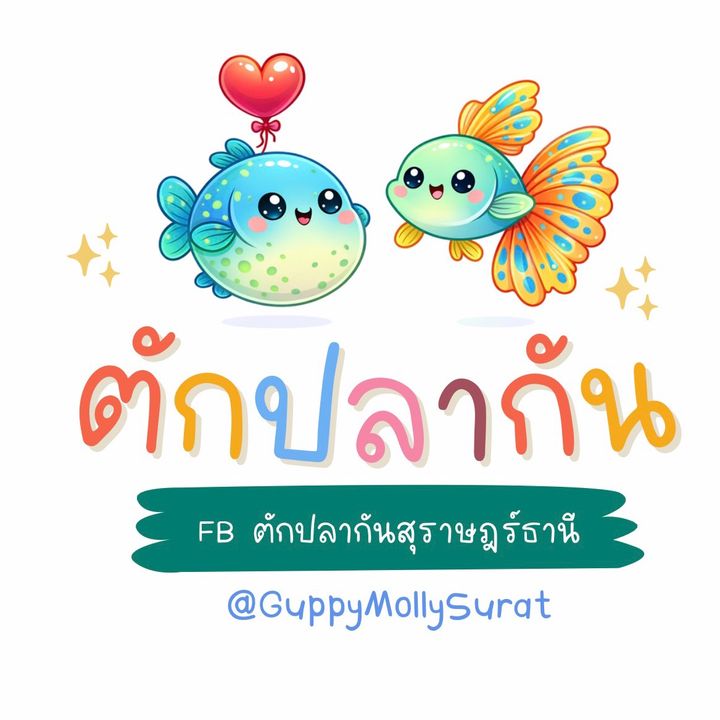 ตักปลากันสุราษฎร์ธานี🐟🐟