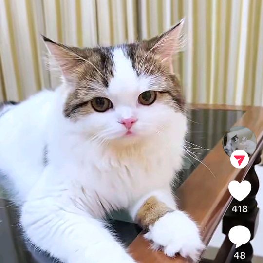 ลุงตี๊ดTiktokนครปฐม4