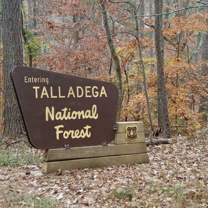 TALLADEGA NATIONAL FOREST