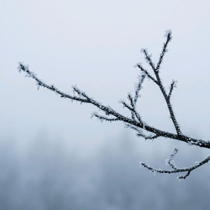 Freezing_cold