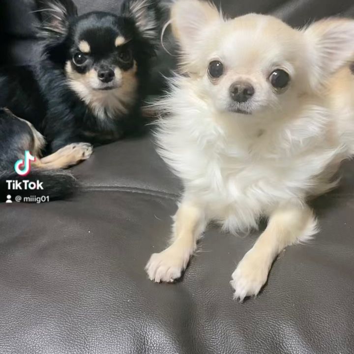 そら