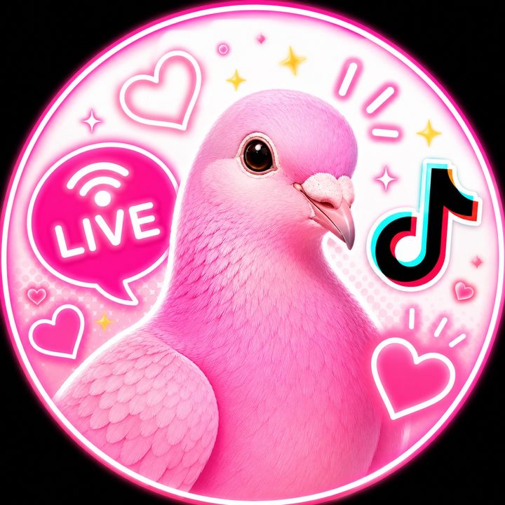 🕊️パロマの鳩と過ごす時間🩷