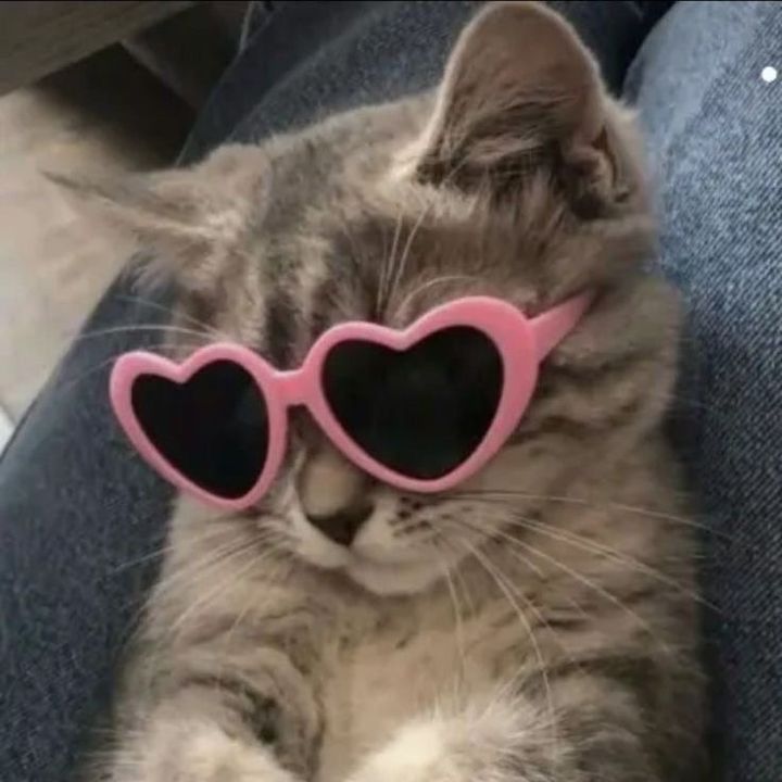 Nad 🎀✨