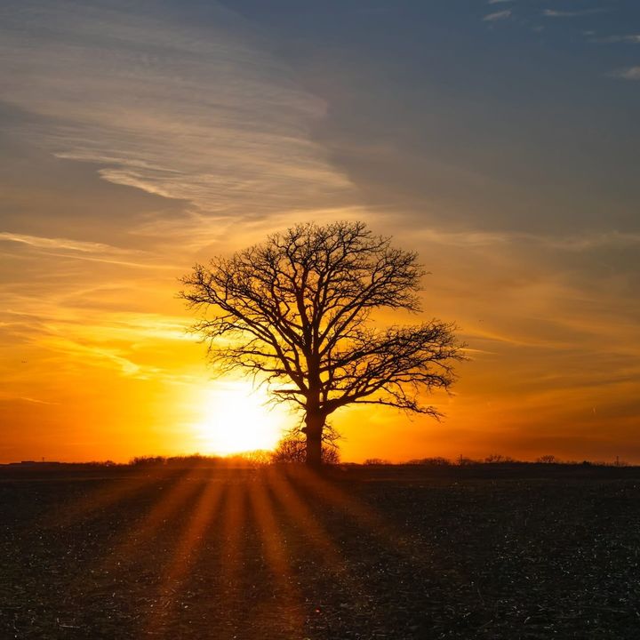 sunriseandsanctity