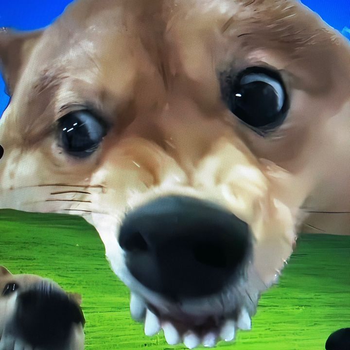 bormw4